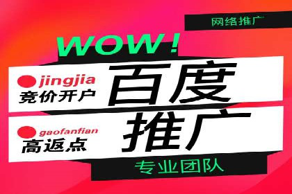 百度搜索广告案例：如何通过精准投放提高转化率